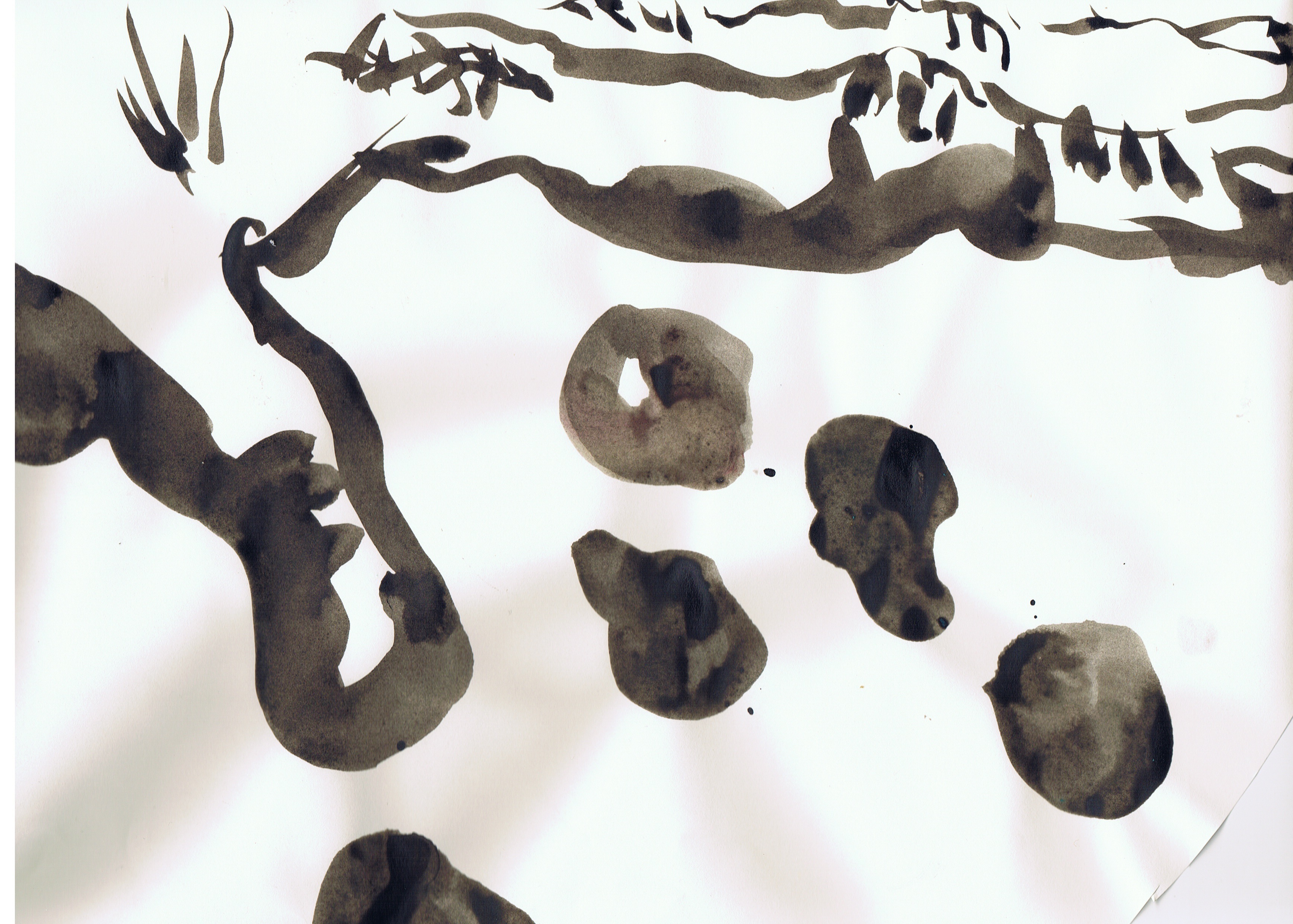 jardinier3